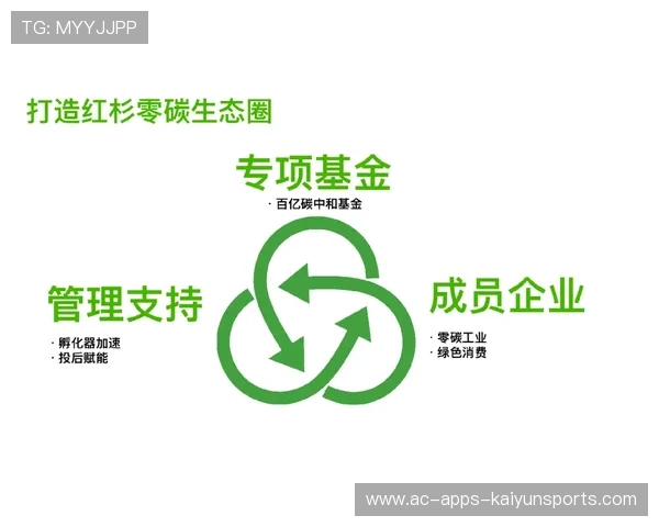 新闻中心深度分析绿色环保建设进展彰显企业社会责任，绿色环保举措
